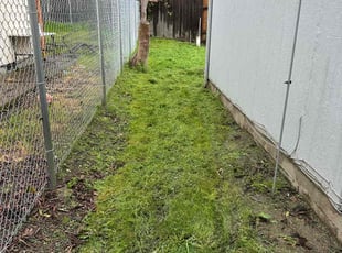 Cleanups by Ricardo Santiago for Jay J. in Salem, OR