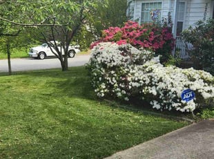 Beth G.'s Lawn Care service result