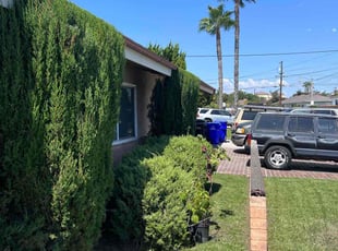 Bush Trimming by Keith Dalke for Ian T. in San Diego, CA
