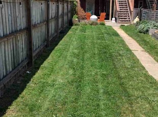 Vidya B.'s Lawn Mowing service result