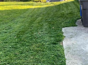 Weeding by Brandon Cain for Shannon S. in Winston-Salem, NC