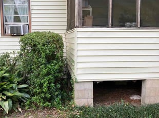 Bush Trimming by Terrain Lewis for Kathy L. in Crawfordville, FL