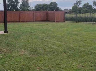 Micah W.'s Lawn Mowing service result