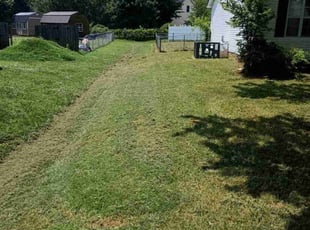 Cleanups by James/Andrea Robinson/Stafford for Noah W. in Murfreesboro, TN
