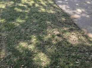 Leaf Removal by Gerome Randle for Jerome L. in Grand Prairie, TX