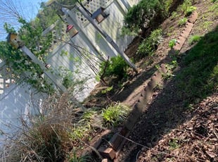 Leaf Removal by Kenneth Fiers for Karen W. in Zuni, VA