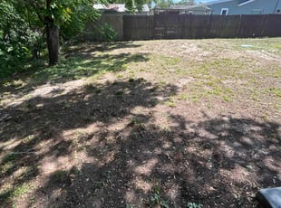Leaf Removal by Ramon Taguja for Andrew C. in Seffner, FL