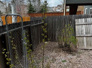 Cleanups by Andrew Fischer for Kacey H. in Colorado Springs, CO