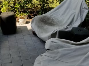 Weeding by James A. Saulsbury for Meghan M. in Washington, DC