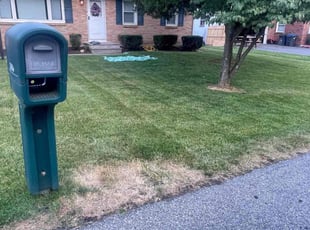 Bush Trimming by Shawna Schatzabel for Jenna o. in Easton, PA