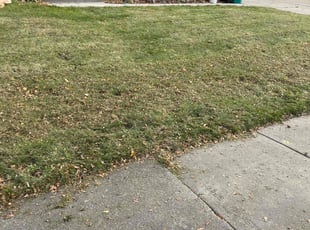 Leaf Removal by Brandon Mudget for Gina S. in Lansing, MI