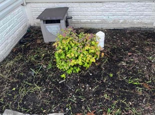 Charlotte H.'s Flower Bed Weeding service result