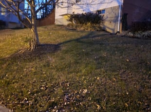 Leaf Removal by Jessica Porter for Thahmin J. in District Heights, MD