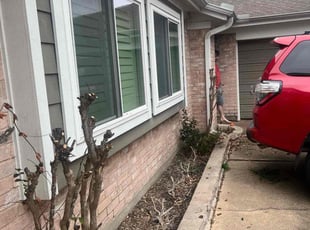 Bush Trimming by Paul Jones for Aaron D. in Katy, TX