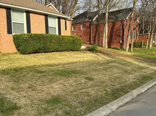 Mason M.'s Bush Trimming service result