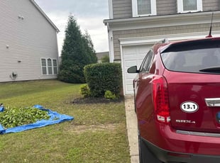Bush Trimming by Claude Batts for Matt H. in Concord, NC
