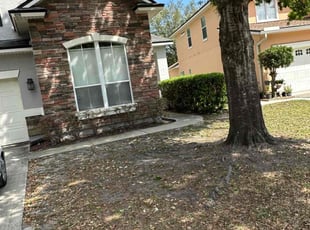Bush Trimming by Steven Newman for Isabel O. in Orange Park, FL