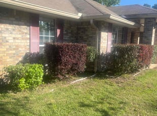 Bush Trimming by Jr Valle for Nicole K. in Palm Coast, FL