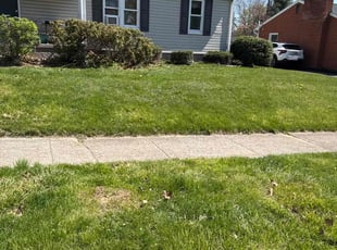 Bush Trimming by Rachel Pensyl for Danielle D. in Camp Hill, PA