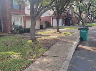 Cleanups by Jason Westgor for David S. in San Antonio, TX