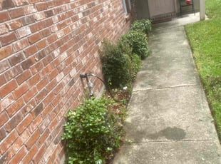 Bush Trimming by Bryce Brown for Sara H. in Baton Rouge, LA