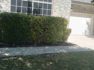 Weeding by Jason Salazar for George E. in San Antonio, TX