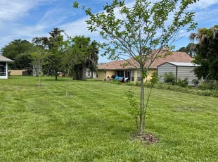 Megan S.'s Grass Cutting service result
