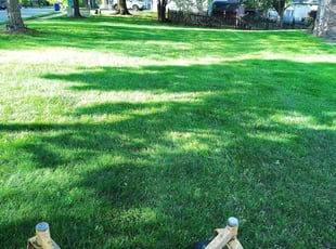 Marcus R.'s Lawn Mowing Service service result