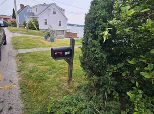 Bush Trimming by David Daye for George P. in Portsmouth, RI
