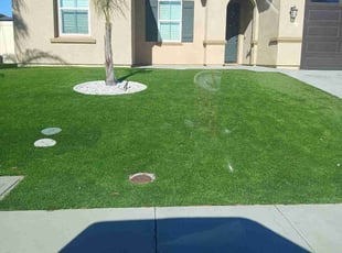 Jack M.'s Lawn Mowing service result