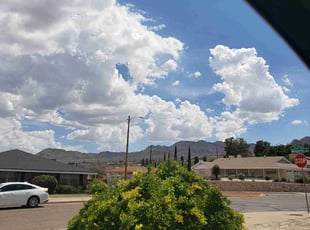 Bush Trimming by Angel Aguilera for Jessica K. in El Paso, TX