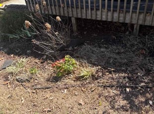 Leaf Removal by Dusean Batey for Jean J. in Pinson, AL