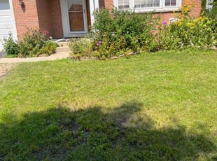 Amy W.'s Lawn Mowing Service service result