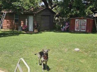 Donna O.'s Lawn Care service result