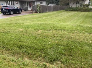 Arup B.'s Lawn Mowing service result