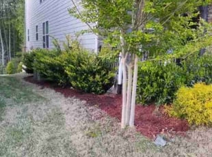 Mulching by Keem James for Grace C. in Chapel Hill, NC