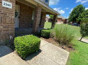 Bush Trimming by Jorge Aguilar for Destiny B. in Mesquite, TX