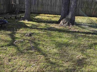 Leaf Removal by Nathaniel Howard for Valerie G. in Chesterfield, VA