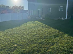 Utona R.'s Lawn Mowing service result