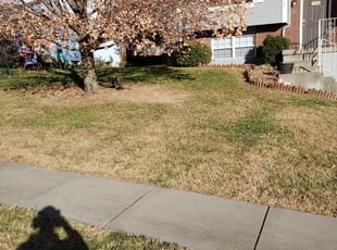 Leaf Removal by Kaleb May for Michele W. in Liberty, MO