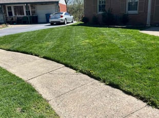 Funmilayo J.'s Lawn Service service result