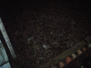 Cleanups by Eric Diaz for Brooke C. in Dallas, TX