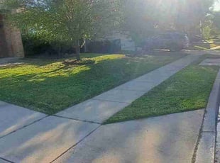 teresa w.'s Lawn Service service result
