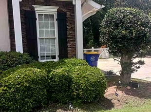 Jay H.'s Bush Trimming service result