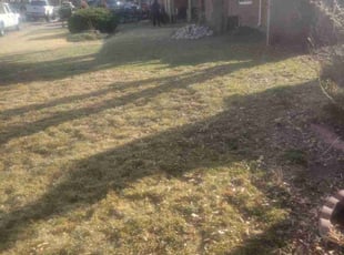 Leaf Removal by Kevin Johnson for William Y. in Aurora, CO