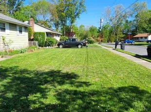 Noah B.'s Lawn Mowing service result