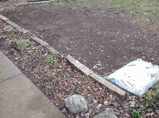 Leaf Removal by Anthony Torres for Pam M. in Round Rock, TX