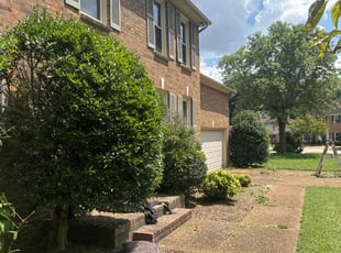 Jennifer A.'s Cleanups service result