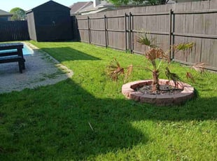Leaf Removal by Shannon Carnes for Avi M. in Burleson, TX
