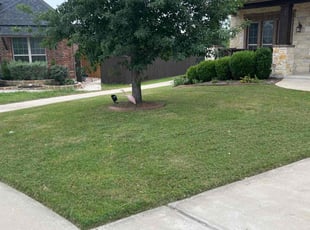 Matthew B.'s Lawn Mowing Service service result